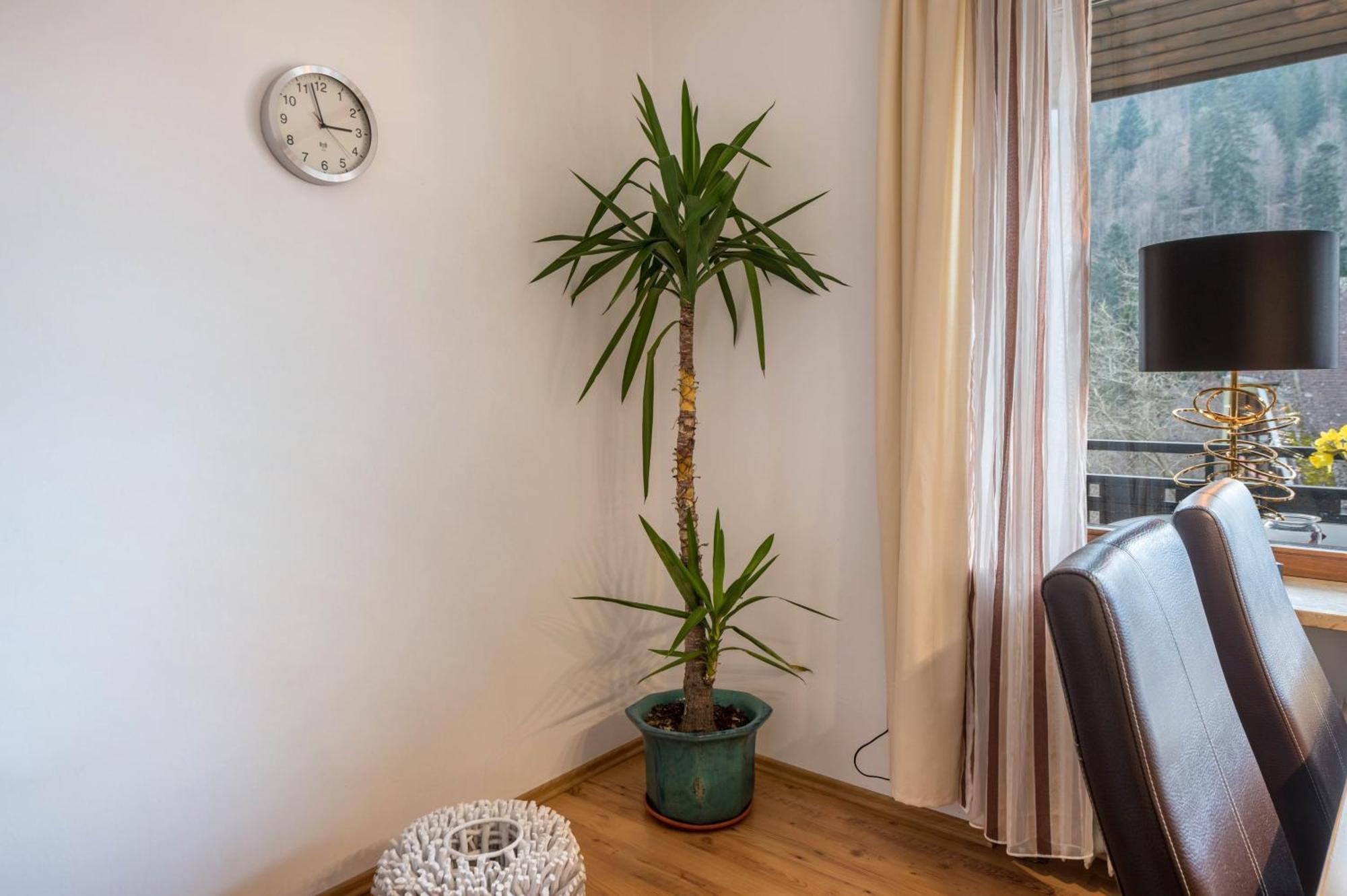 Ferienwohnung Haus Akelei Todtmoos Exterior foto